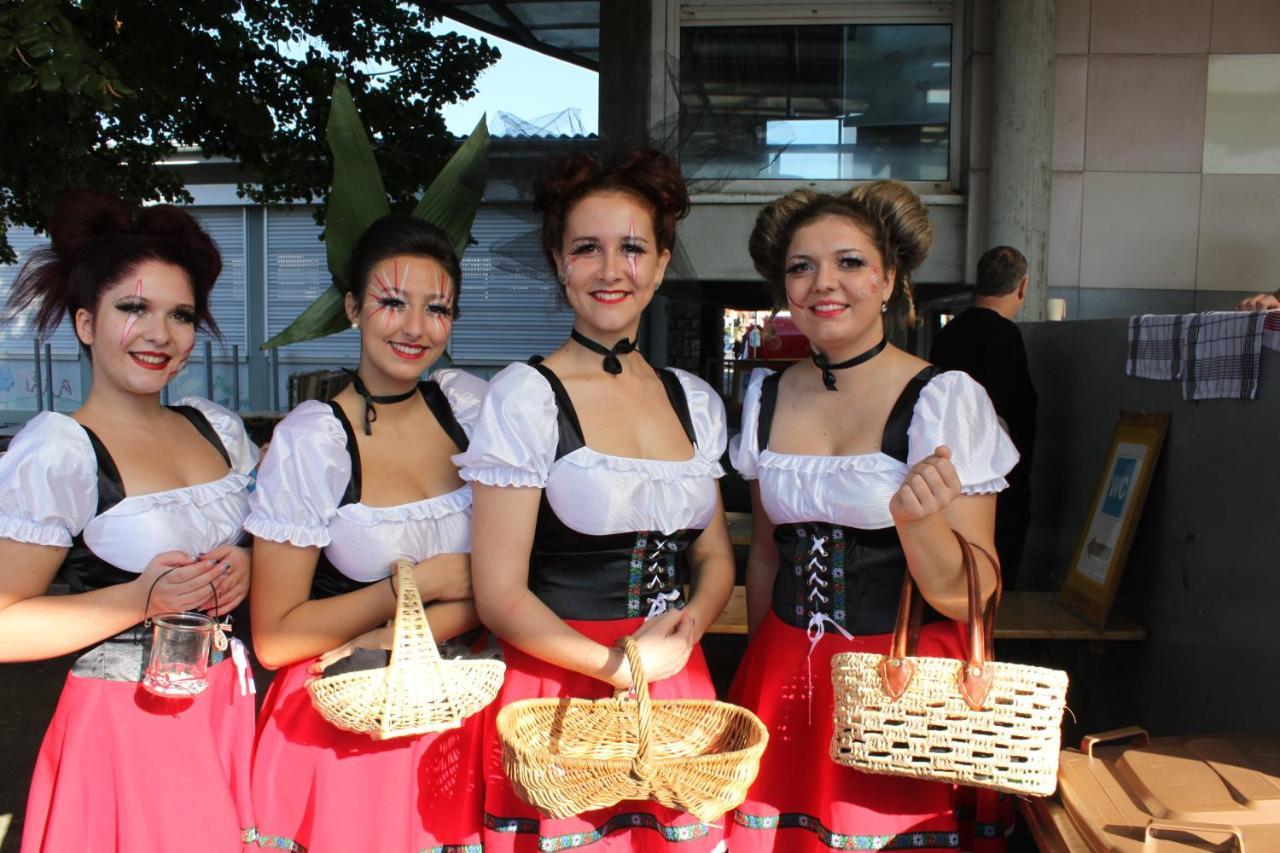 Gites D'Illfurth Esterno foto