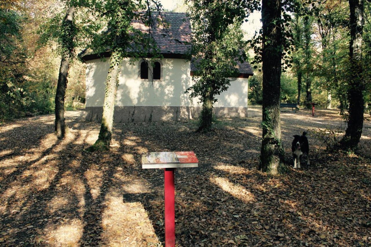 Gites D'Illfurth Esterno foto