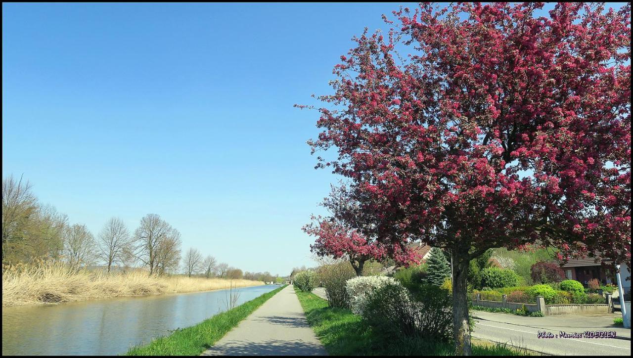 Gites D'Illfurth Esterno foto